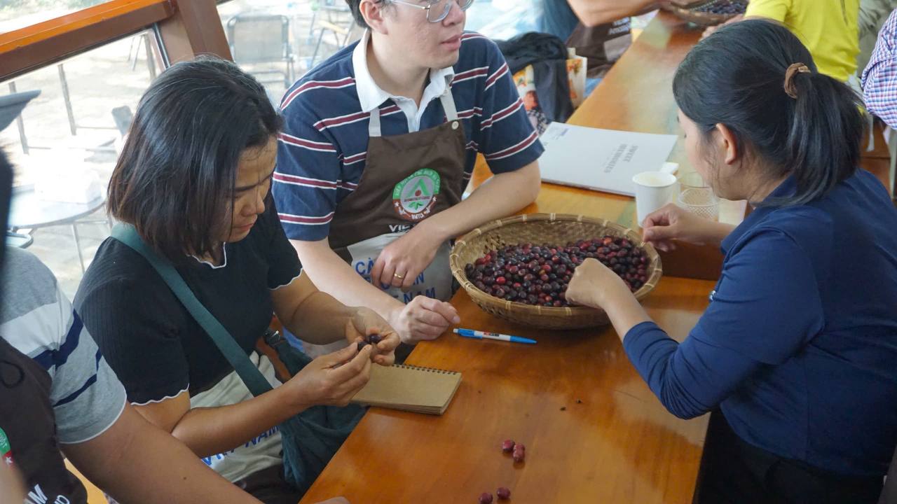 Hình ảnh Khoá Học Rang Cà Phê Cao Cấp